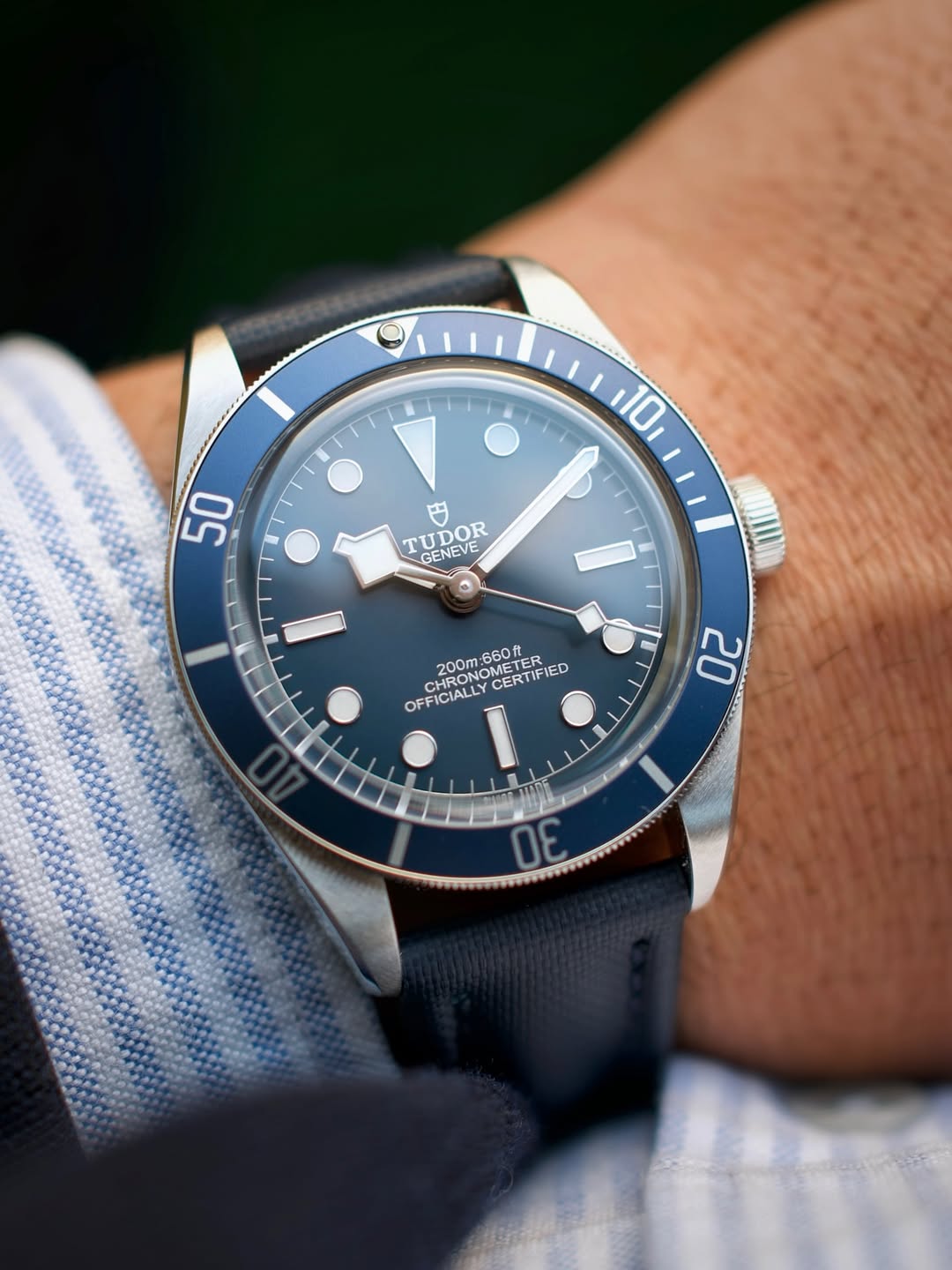 Blue Sailcloth Quick Release Watch Band 20mm | WIS Watch Straps