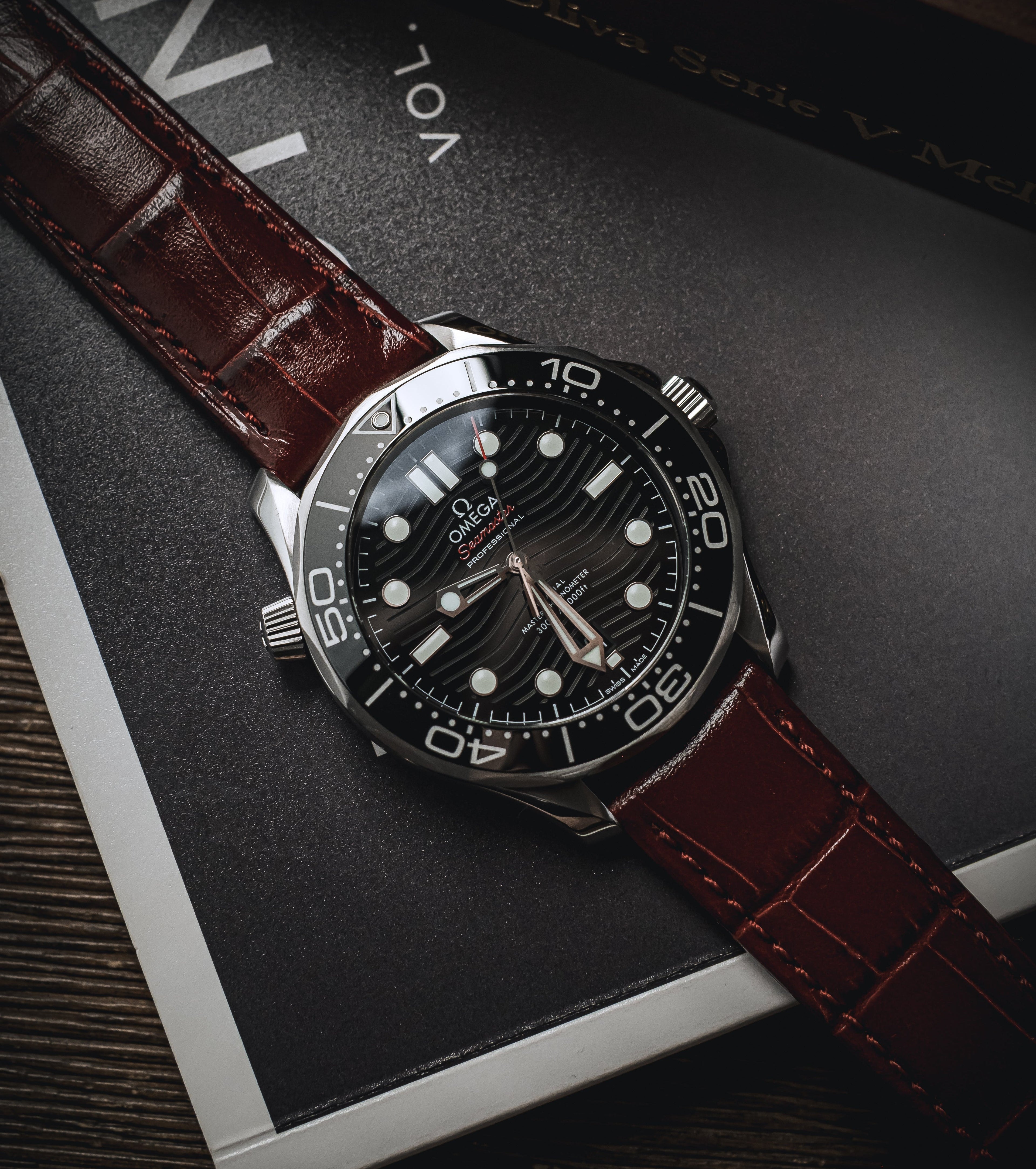 Red Alligator on Omega Seamaster