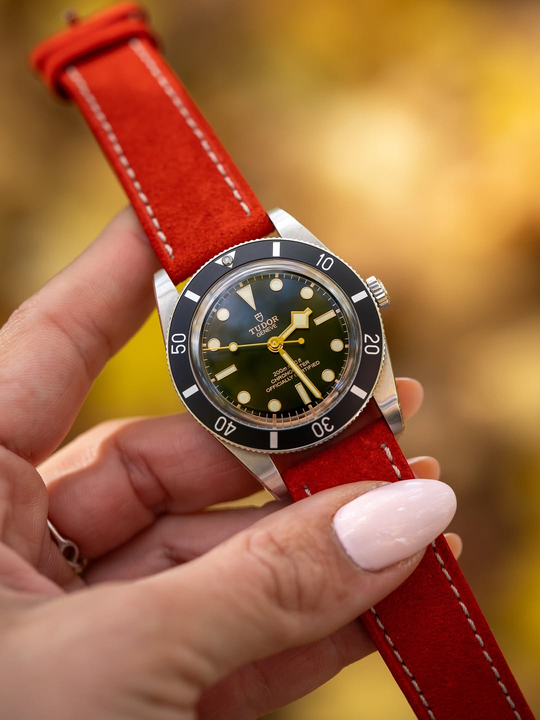 Red Suede Leather 20mm Watch Band | WIS Watch Straps