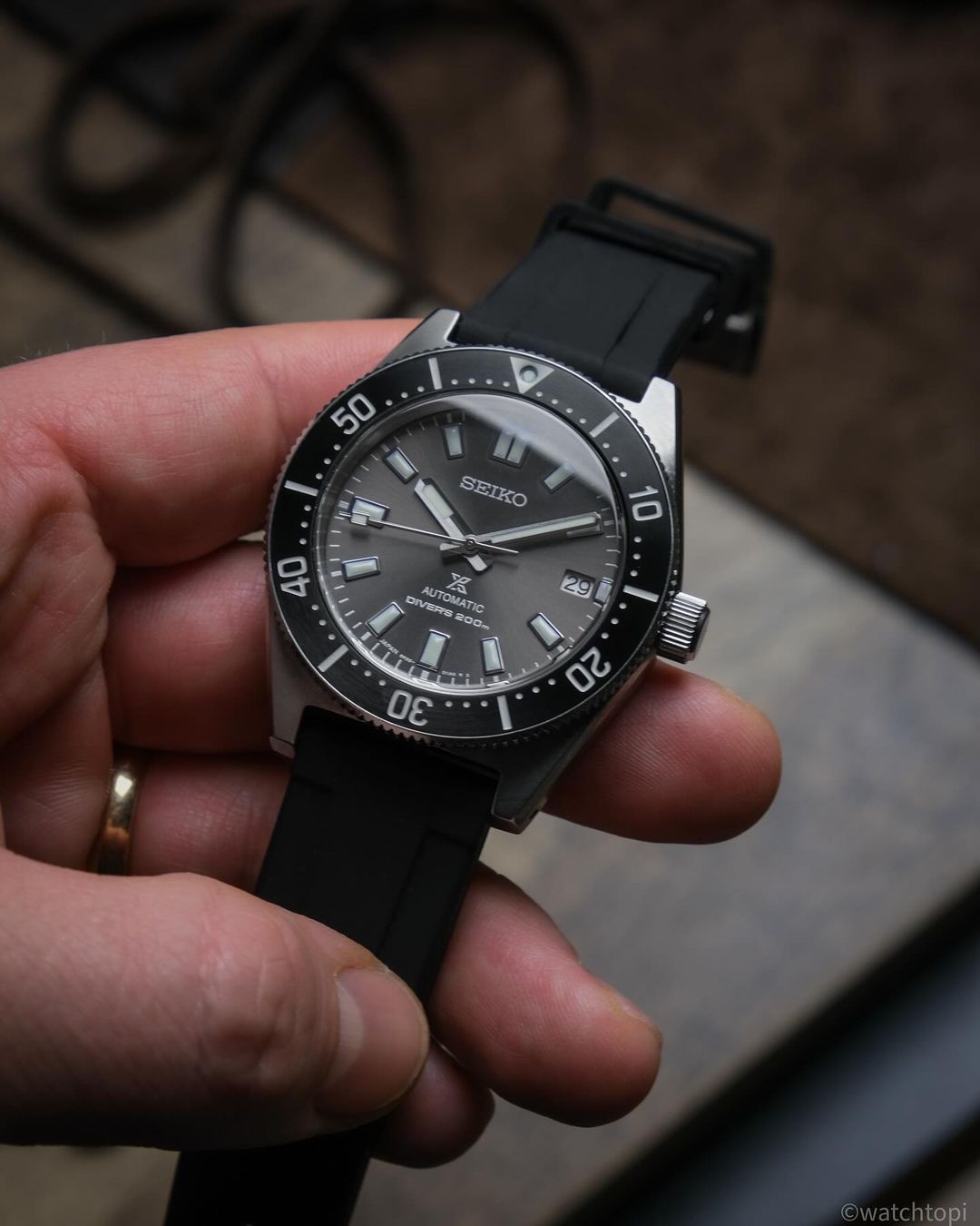 The Differences in Watch Bands | WIS Watch Straps