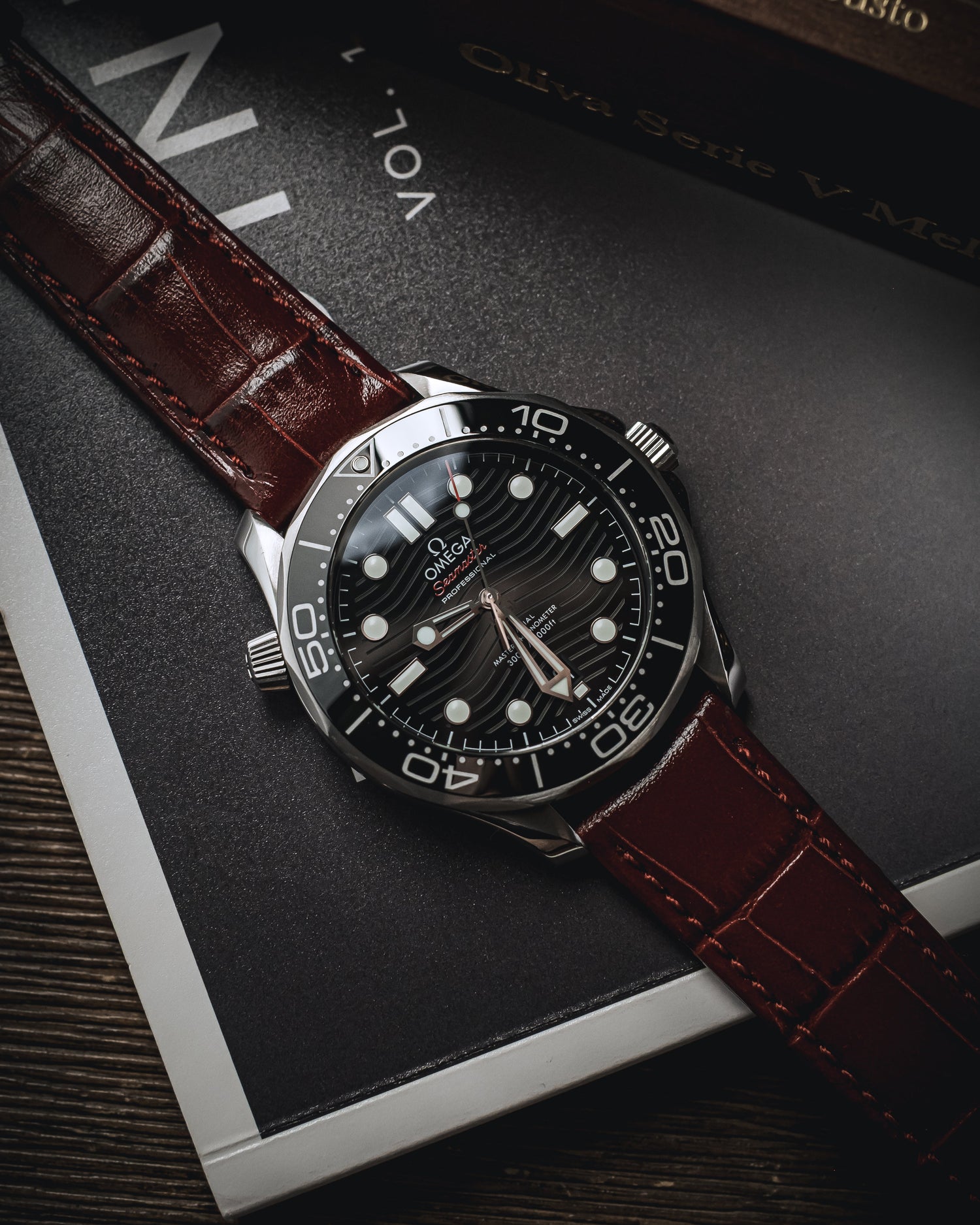 Red Alligator on Omega Seamaster