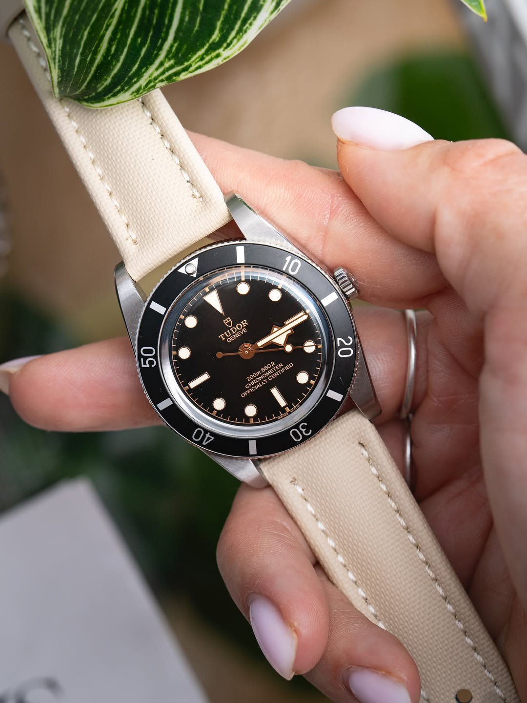 Tan Sailcloth Quick Release Watch Band on Tudor | WIS Watch Straps