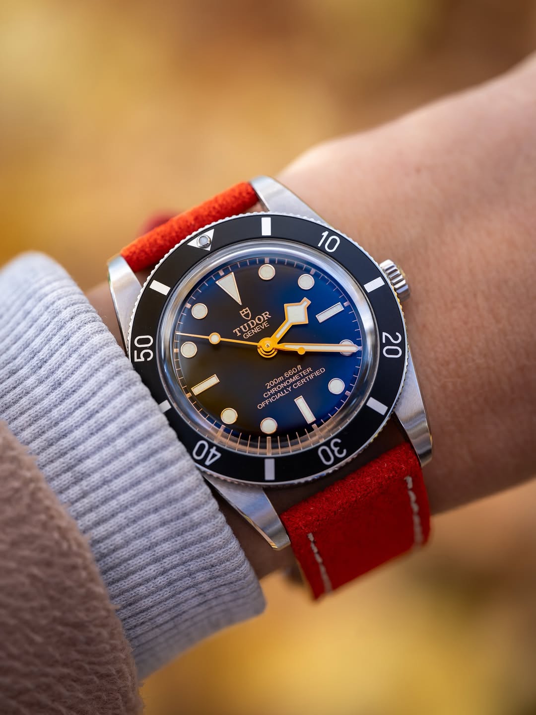 Red Suede Leather WIS Watch Straps on Tudor Black Bay